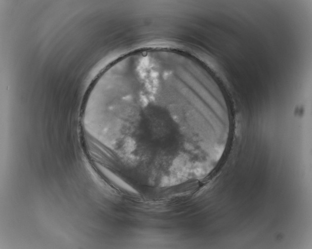 X0000112011229200909141118