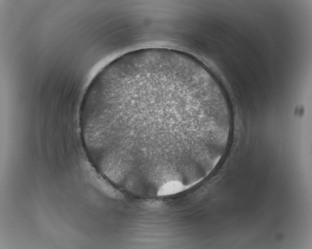X0000112011230200909141118
