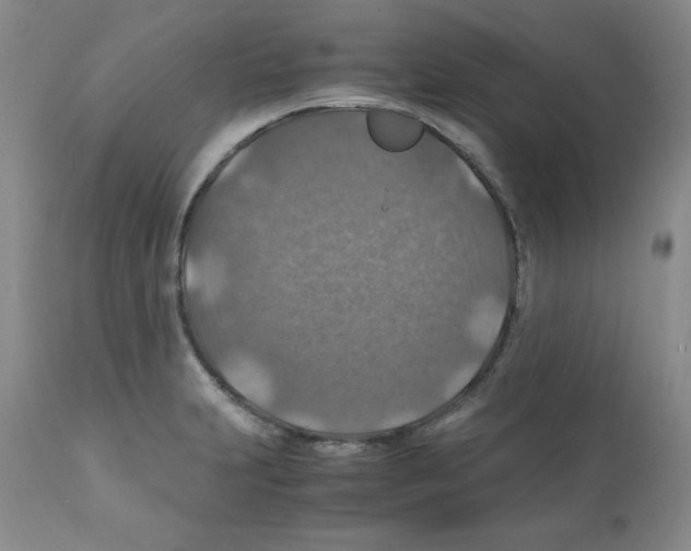 X0000112011231200909141118