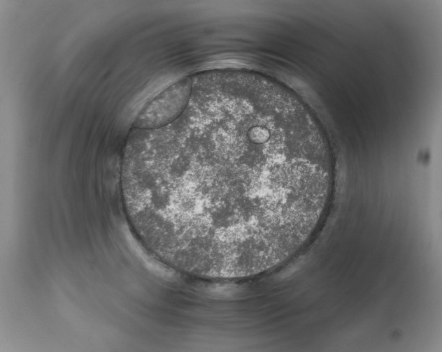 X0000112011233200909141118