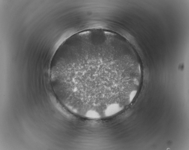 X0000112011234200909141118