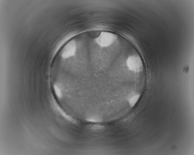 X0000112011235200909141118