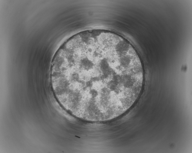 X0000112011236200909141118