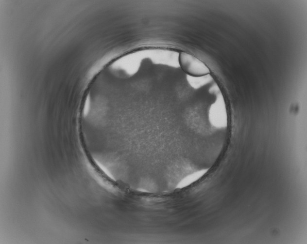 X0000112011237200909141118