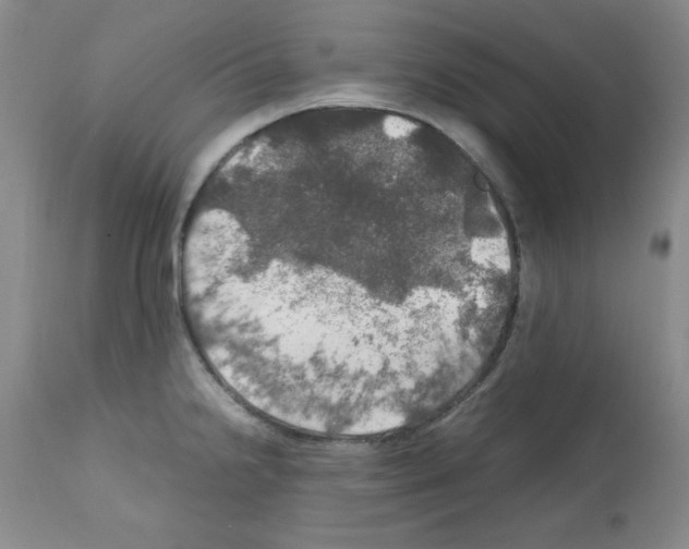 X0000112011238200909141118