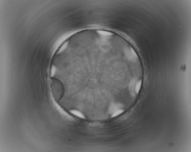 X0000112011239200909141118