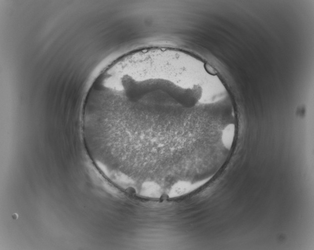 X0000112011240200909141118