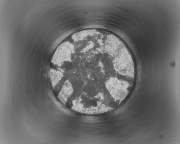 X0000112011241200909141118