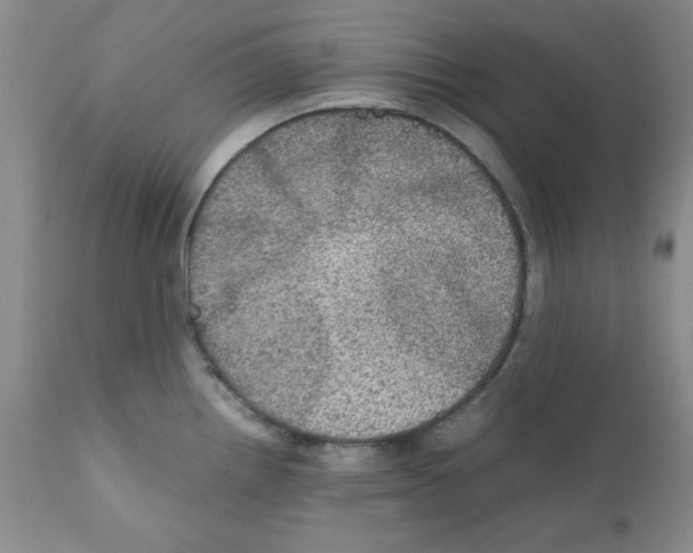 X0000112011242200909141118