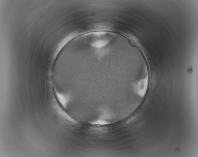 X0000112011243200909141118