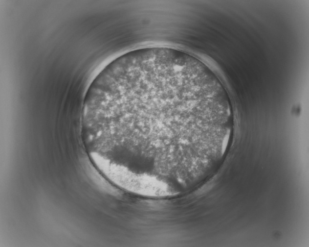 X0000112011244200909141118