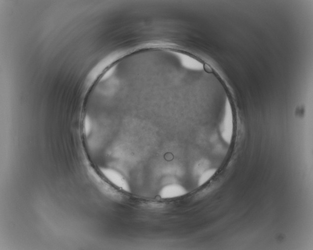 X0000112011245200909141118