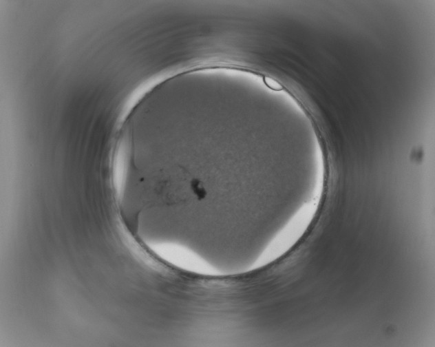 X0000112011246200909141118