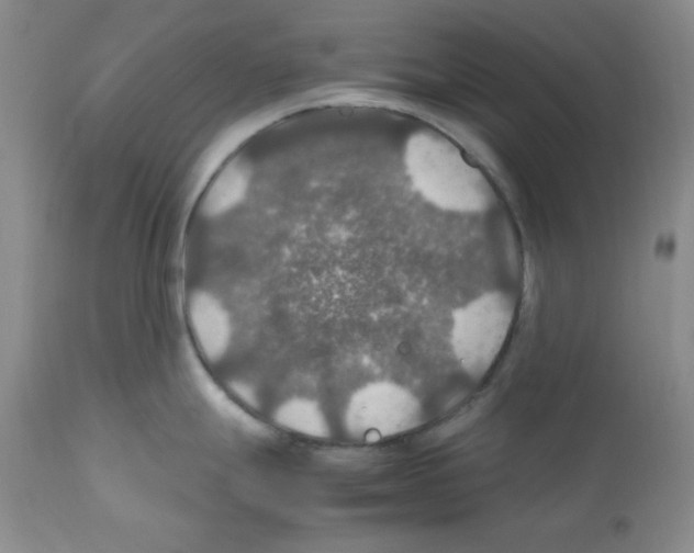 X0000112011247200909141118