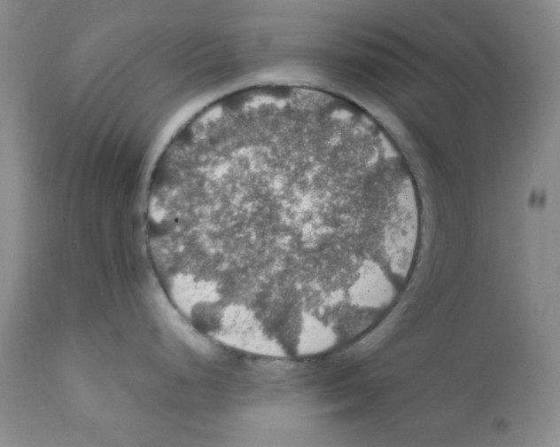 X0000112011248200909141118