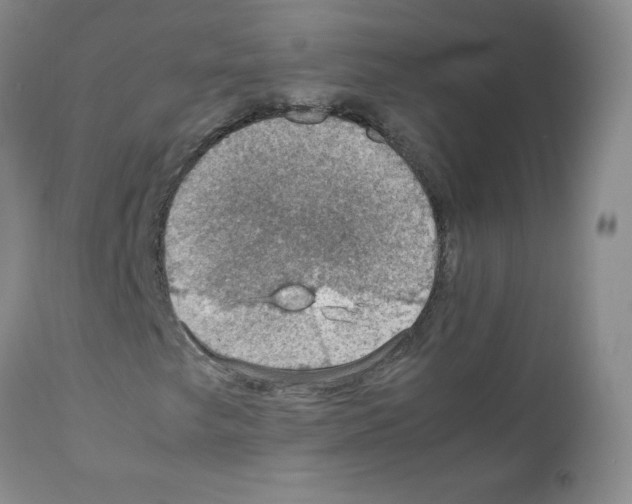 X0000112011249200909141117