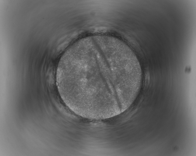 X0000112011250200909141117