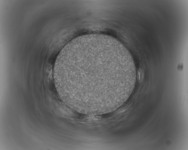X0000112011251200909141117
