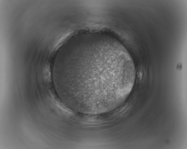X0000112011252200909141117