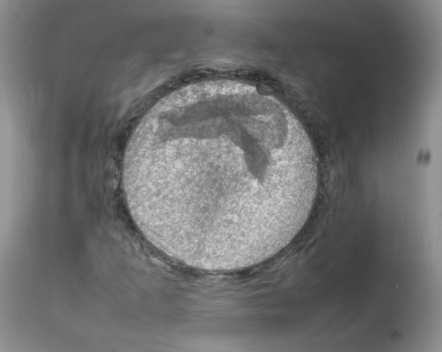 X0000112011253200909141117