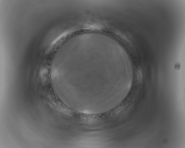 X0000112011254200909141117