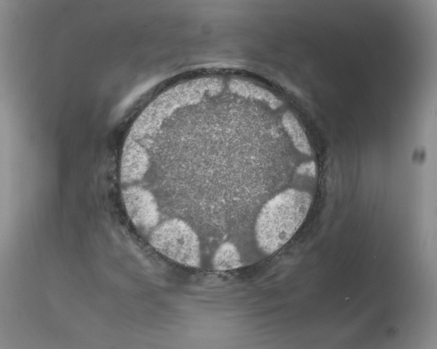 X0000112011255200909141117