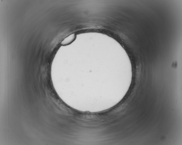 X0000112011257200909141117