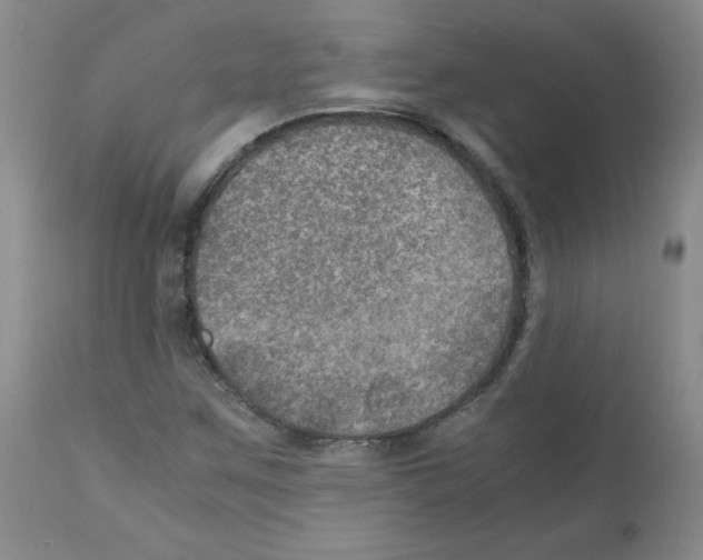 X0000112011259200909141117
