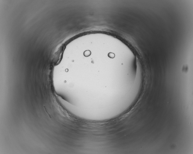 X0000112011260200909141117