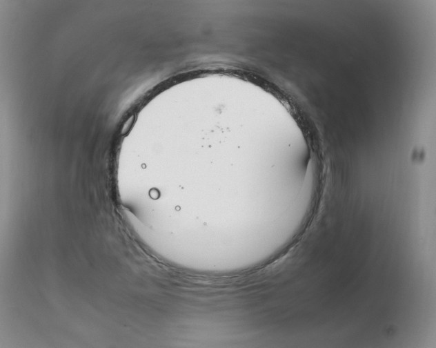 X0000112011261200909141117