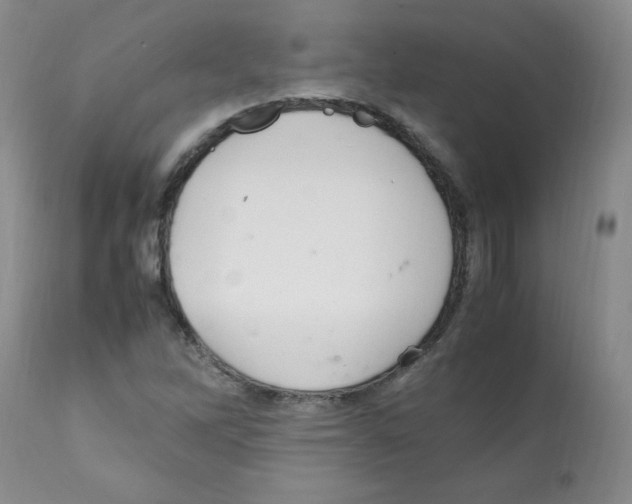 X0000112011262200909141117