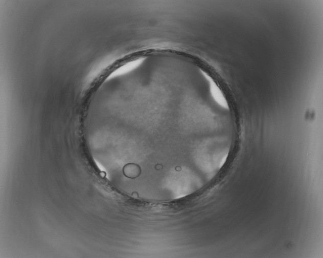 X0000112011263200909141117