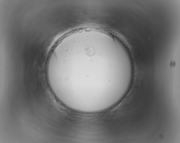 X0000112011264200909141117