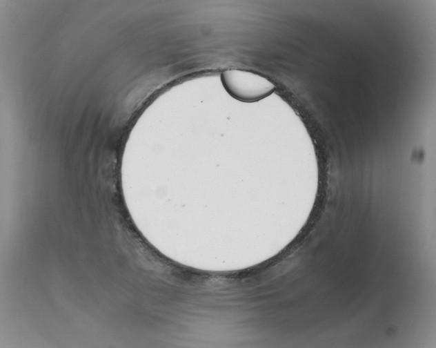 X0000112011265200909141117