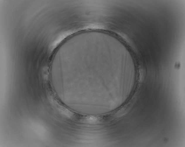 X0000112011266200909141117