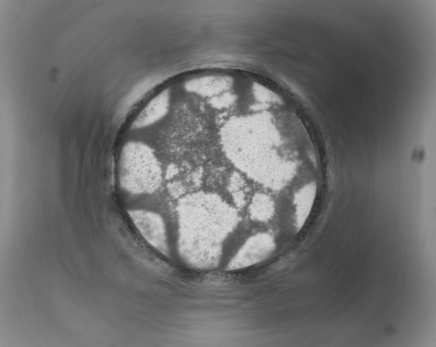 X0000112011267200909141117