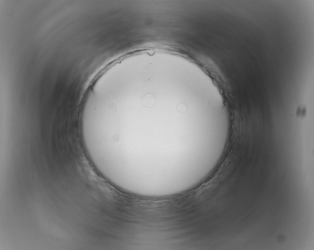 X0000112011268200909141117