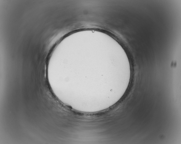 X0000112011269200909141117