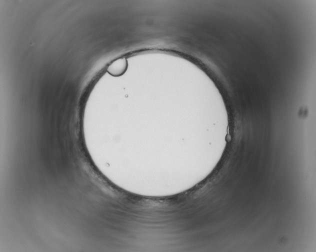 X0000112011270200909141117