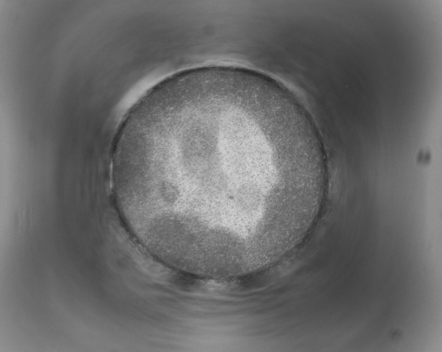 X0000112011271200909141117