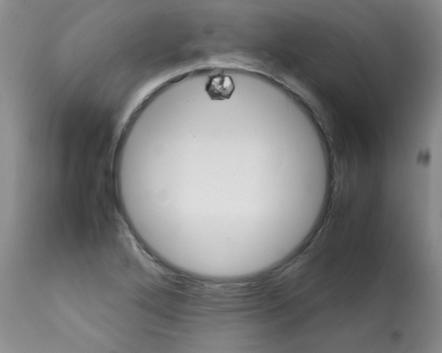 X0000112011272200909141117