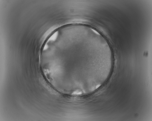 X0000112011275200909141117
