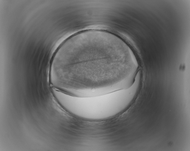 X0000112011276200909141117