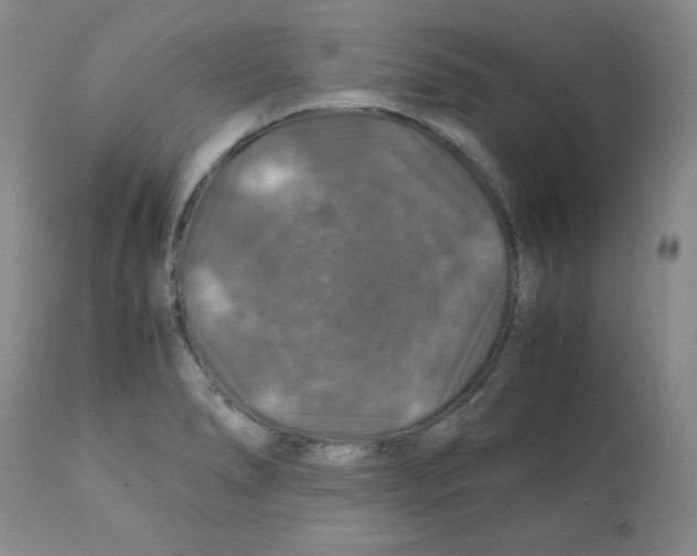 X0000112011278200909141117