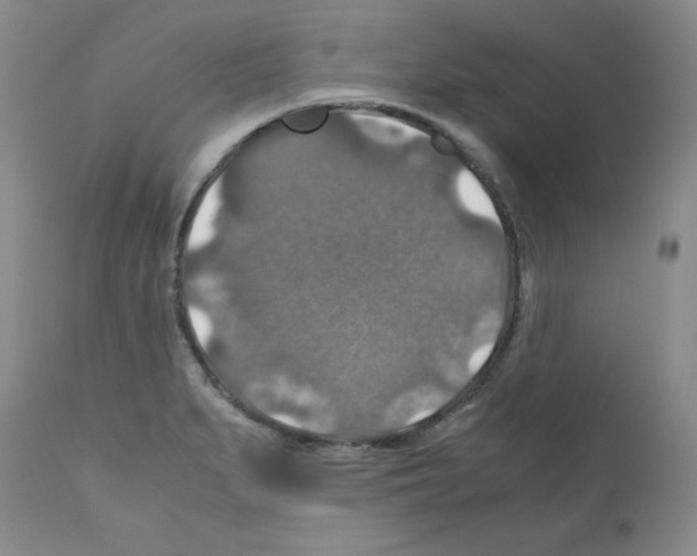 X0000112011279200909141117