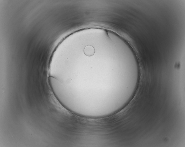 X0000112011280200909141117