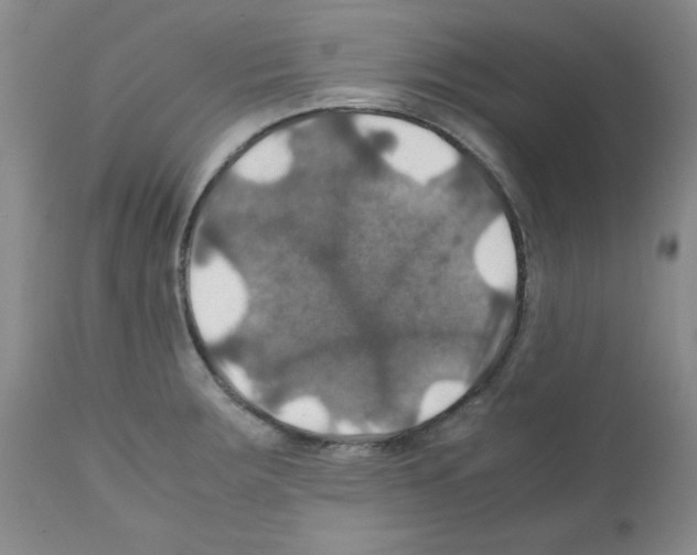 X0000112011283200909141117