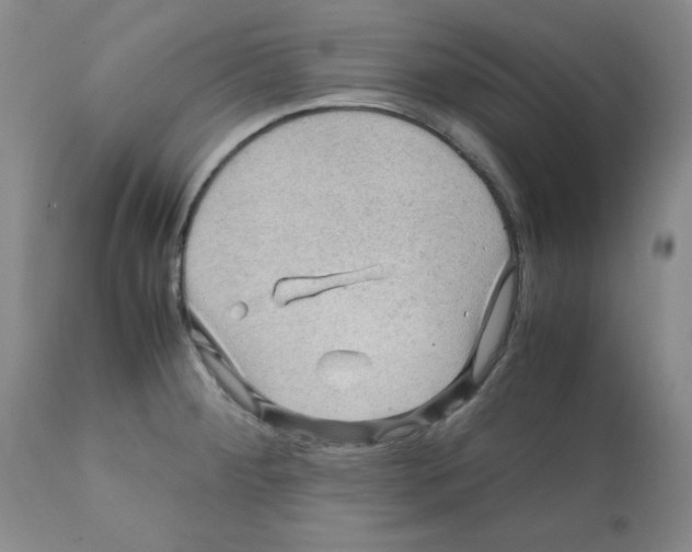 X0000112011284200909141117