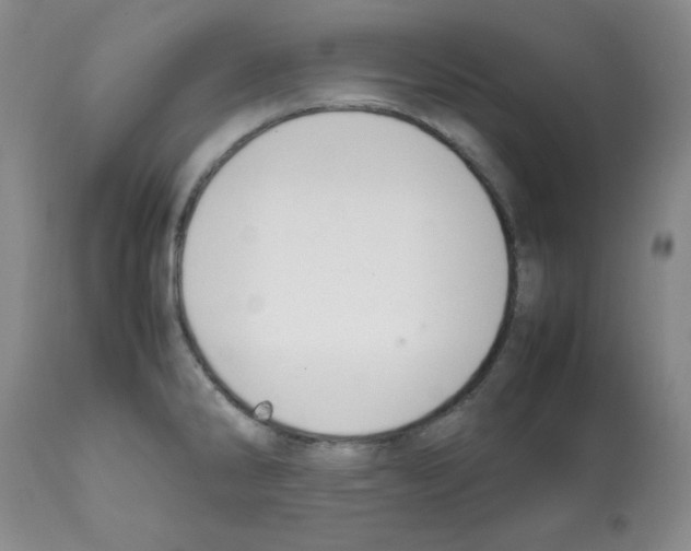 X0000112011286200909141117