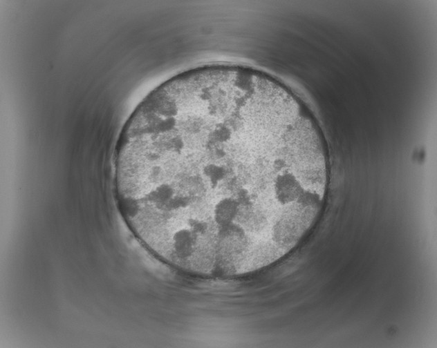 X0000112011287200909141117